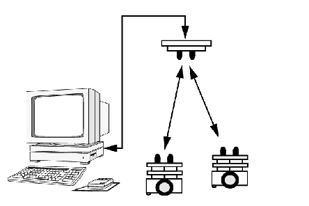Die Netzwerk-Topologie