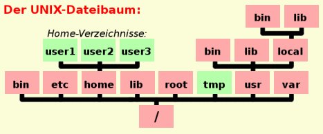 Der im Weiteren beschriebene UNIX-Dateibaum grafisch dargestellt